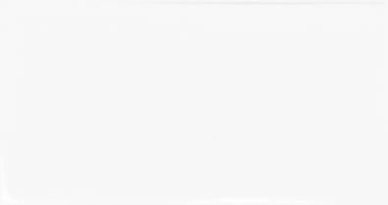 PT Vit matt - Kakel 1