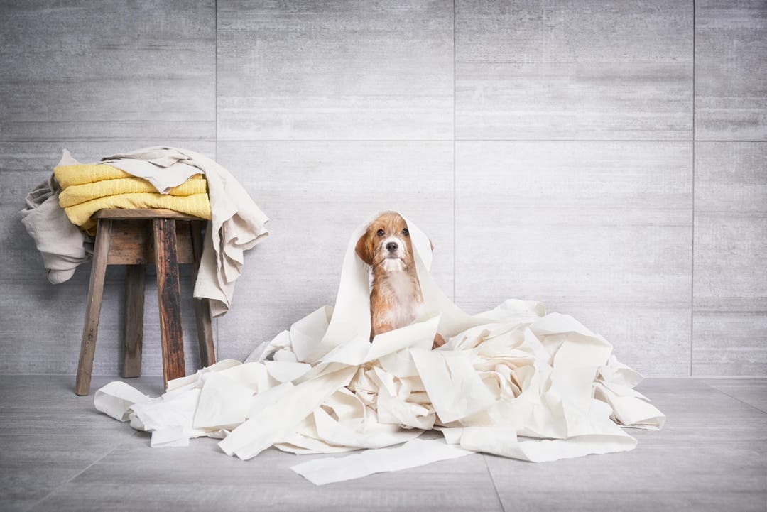 Cem Grigio Cassero - Klinker 2