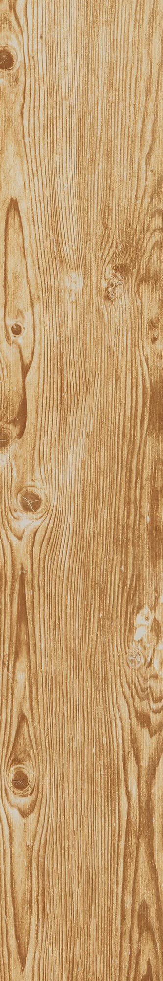 Larix Fresh - Klinker 4