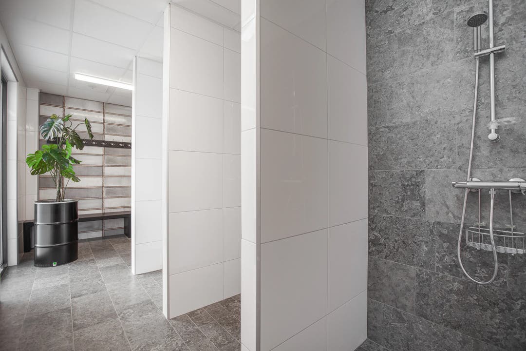 Swan White Blank - Outlet 4