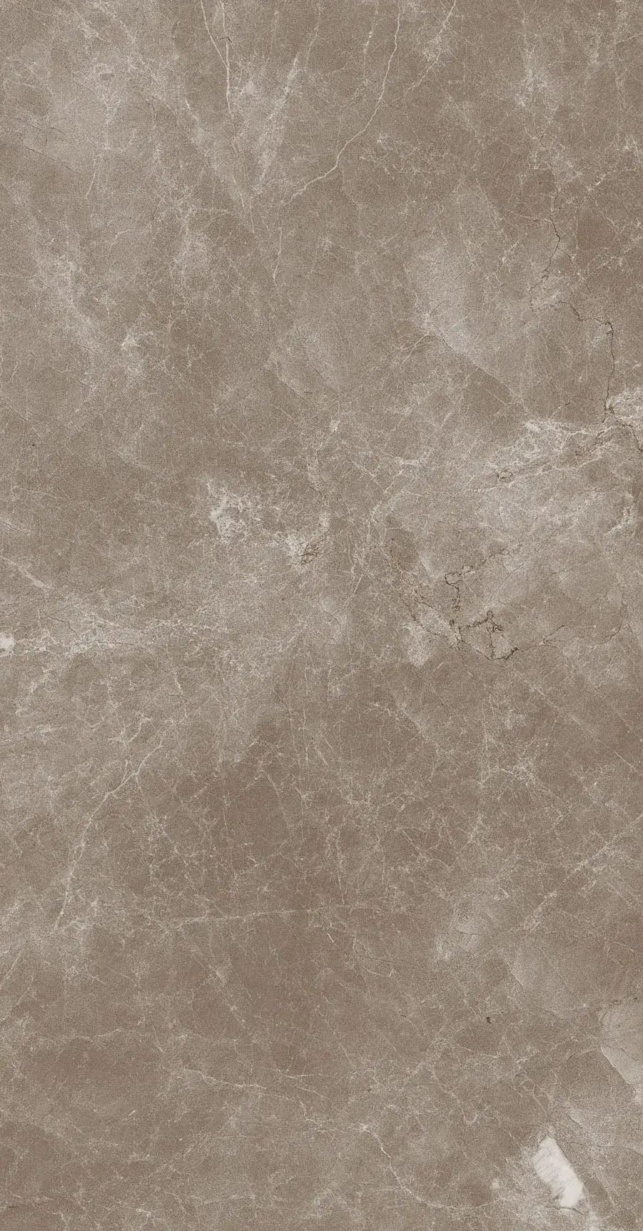 Marmoker Jolie - Klinker 1