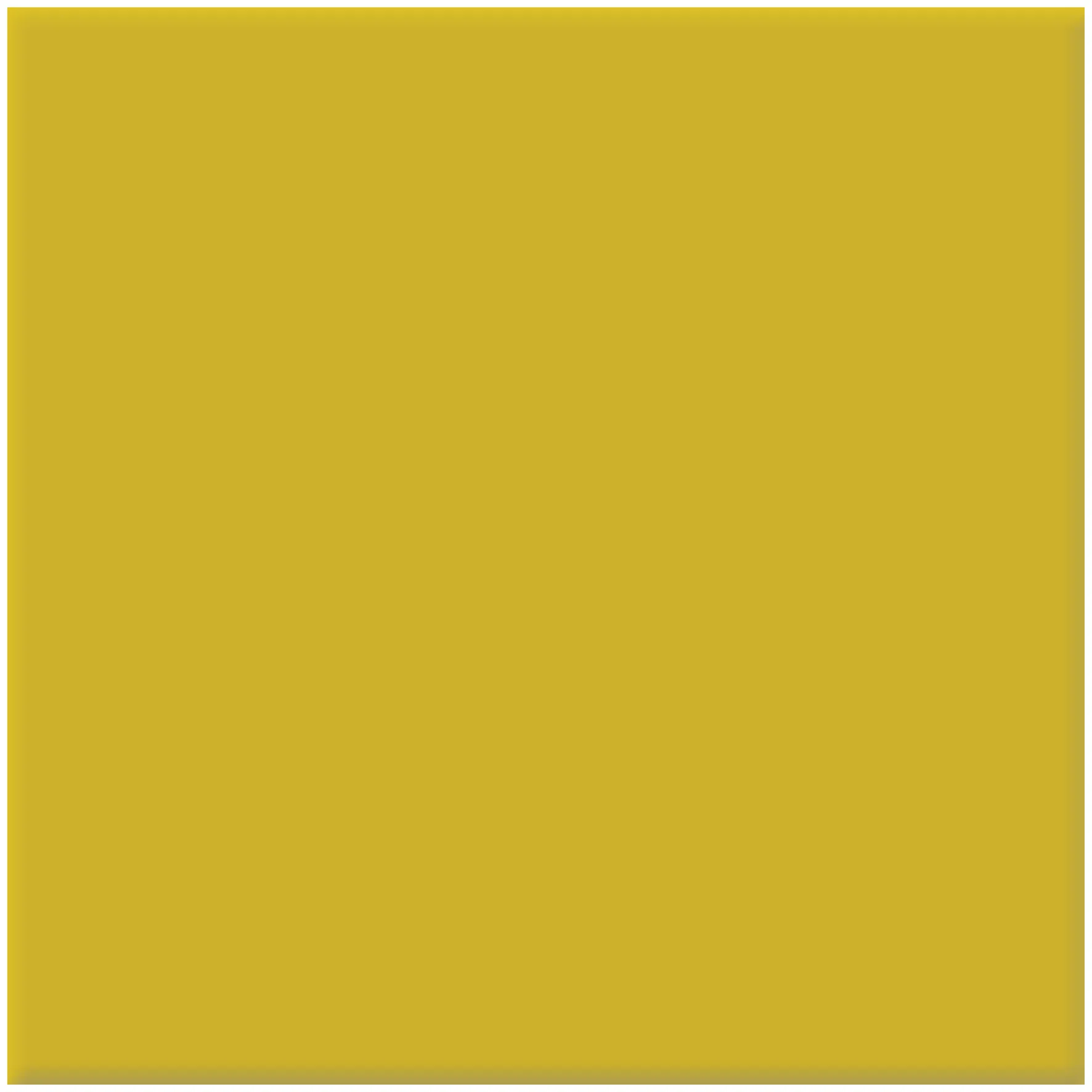 Produktbild av Kulörkoncept Vägg Senape matt 