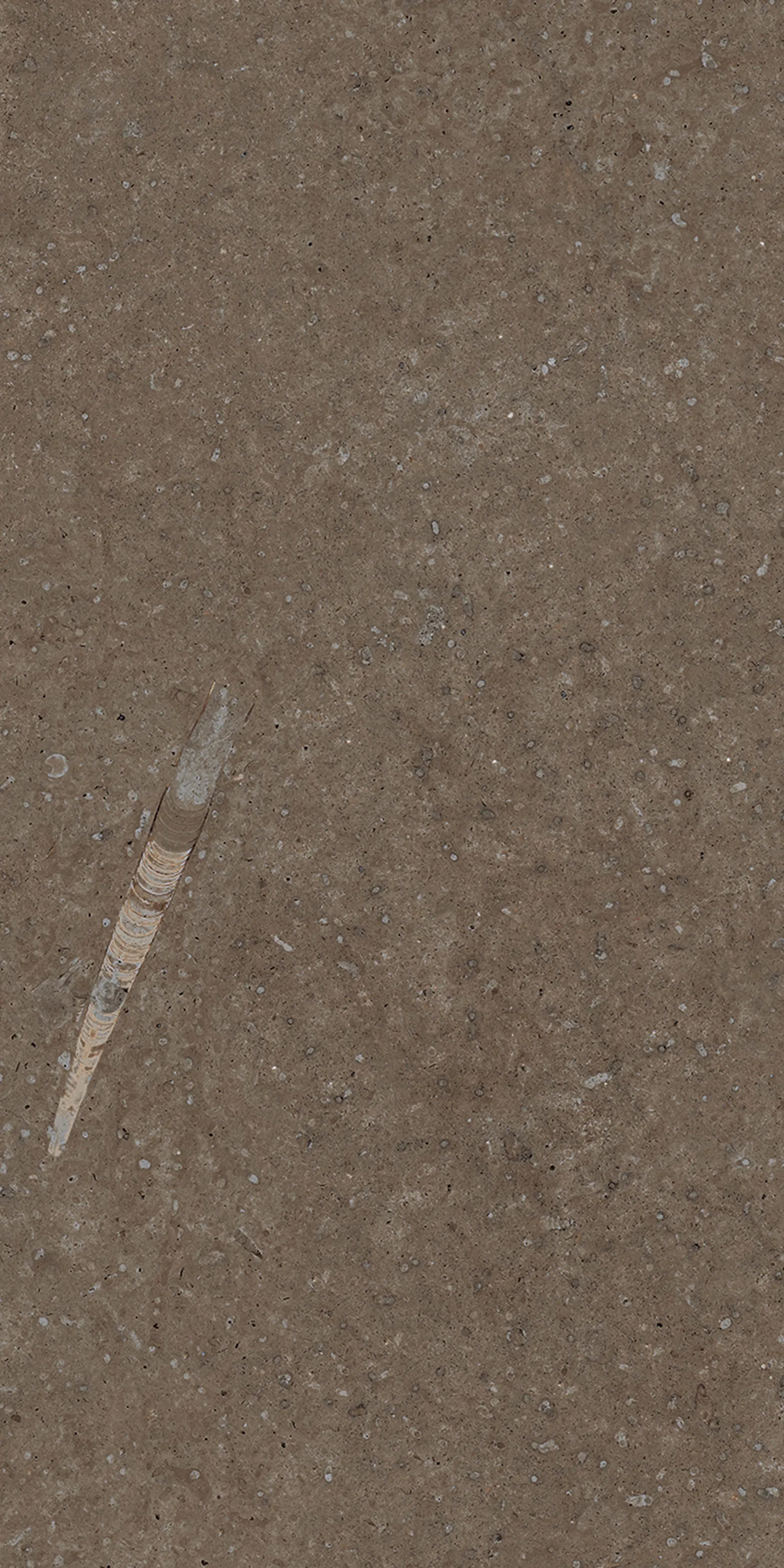 Kalk Classic klinker 30x60 cm | Konradssons Kakel