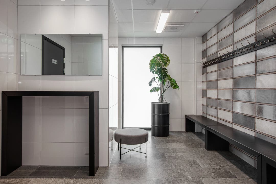 Swan White Blank - Outlet 5