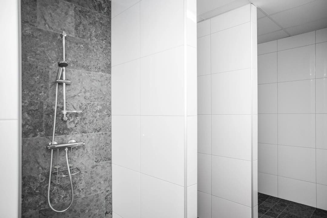 Swan White Blank - Outlet 8